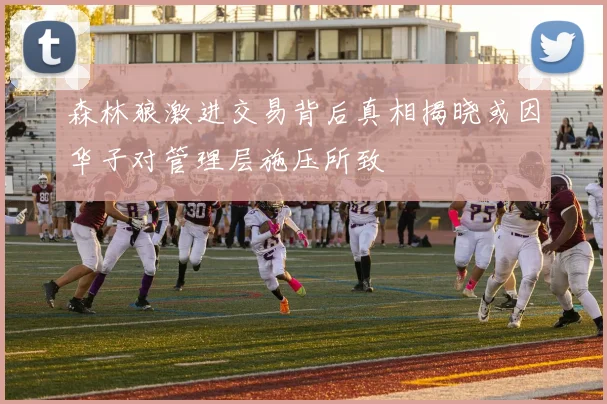 森林狼激进交易背后真相揭晓或因华子对管理层施压所致