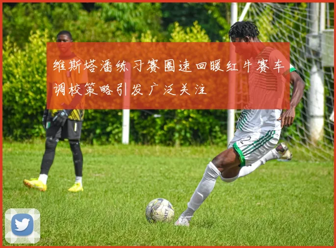 维斯塔潘练习赛圈速回暖红牛赛车调校策略引发广泛关注